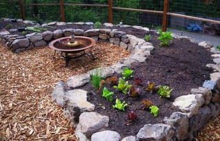 养鱼养花会消磨意志吗