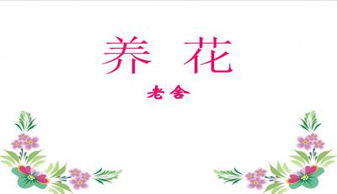 关于养花心得的作文的格式