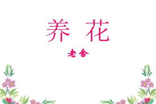 免费养花课件ppt