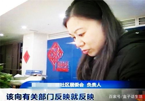 屋顶养花物业不允许
