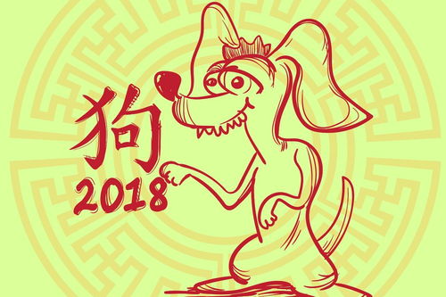 适合每个生肖养花