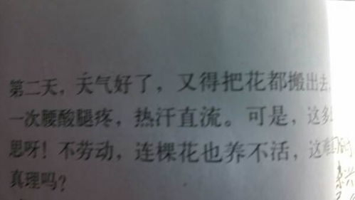 六级养花一文