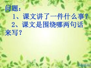 六级上册语文养花课件