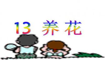 养花课程ppt