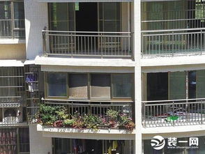 窗外养花