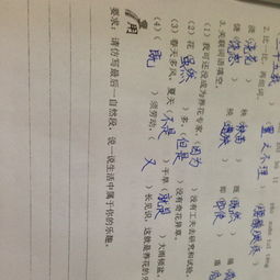 养花老舍共几自然段