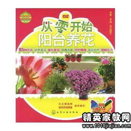 养花读后感150