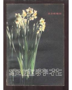 家养花的描写片段