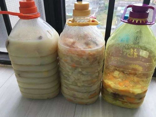 果皮灰能养花吗