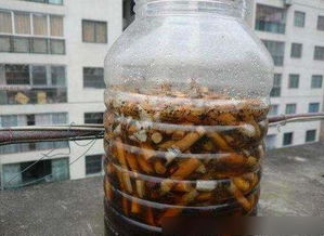 烟头怎么养花