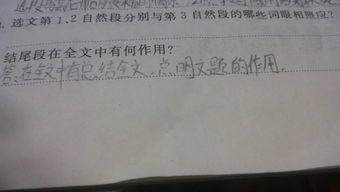 养花第七自然段在文中的作用是什么