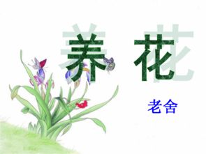 养花老舍概括段意