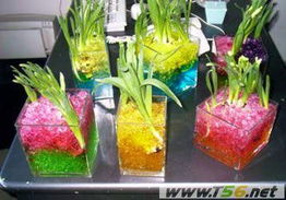 吸水树脂能养花吗