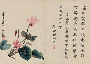 养花老舍文章赏析