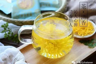 花养花金丝皇菊