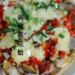 养花蛤用的水