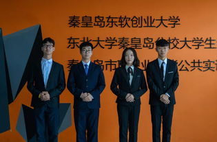 策划,创新,协会,创业