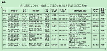 大学大学生创新创业训练计划项目管理办法