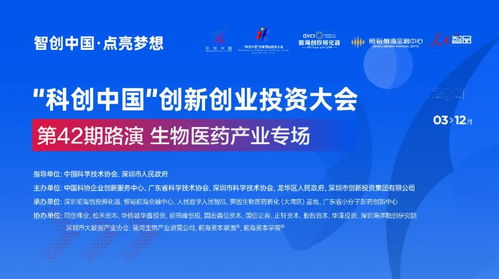 观后感,实践,理论,创新