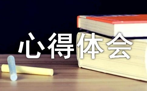 创业创新实训报告心得体会