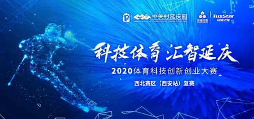 书中,技术创新,创业计划,创新