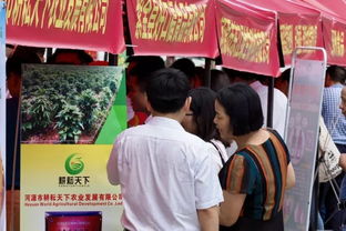 作文,精准,扶贫,素材