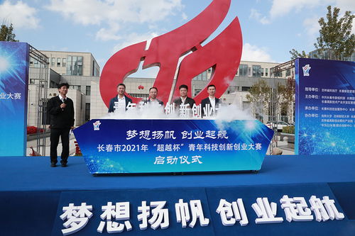 科技创新创业大赛作品范例,科技创新创业大赛作品画画,大学生科技创新创业大赛作品