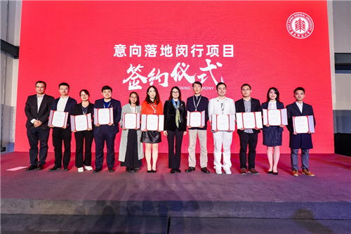 华东师范大学,本科生,教育网,创新