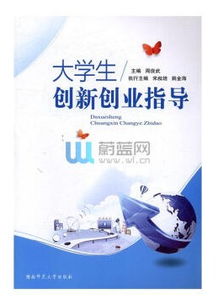 指导,创新,创业,大学生