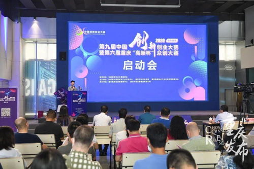 第九届全国创新创业大赛总决赛,第九届创新创业大赛总决赛,第九届河北省创新创业大赛获奖名单