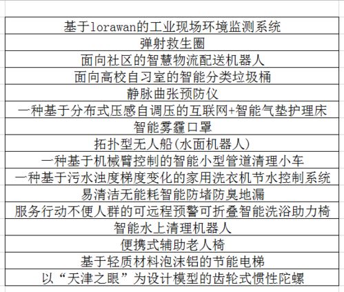 创新创业项目计划验收总结