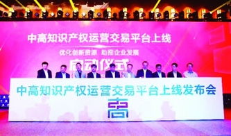 打造平台激发创新创业活力
