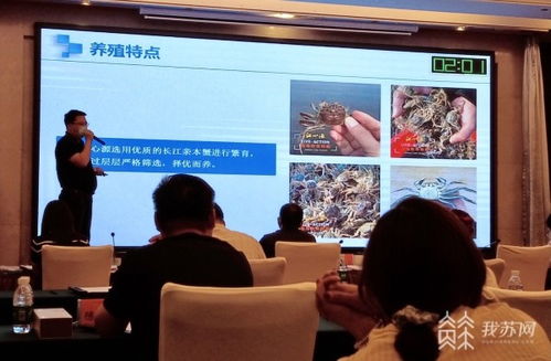 镇江市农村创业创新