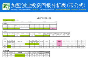 创新创业资金回报表格