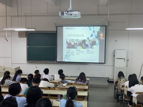 创新创业课程期末总结报告