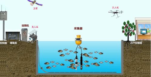 农业创新创业的瓶颈