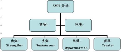 分析报告,创业项目,创新,swot