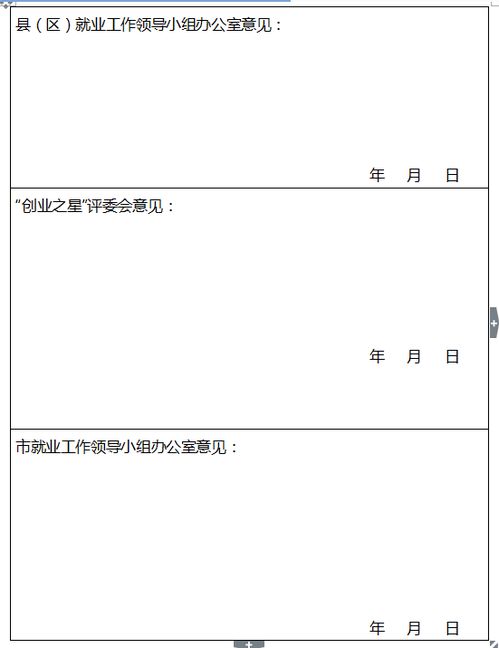 校内创新创业之星申请表
