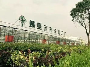 返乡创新创业基地建设方案