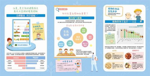 膳食,创业项目,营养,创新