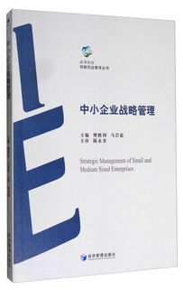 战略,创新,创业,管理