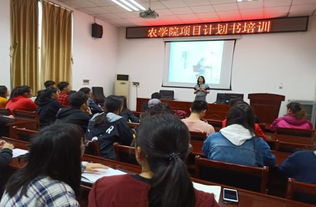 创业创新协会招新标语