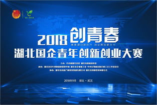 历年创新创业获奖作品,创新创业获奖的项目,大学生创新创业获奖