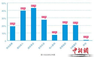 创业者,动机,因素,驱动