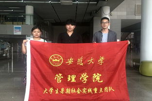 调查报告,现状,创新,创业