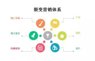 渠道,收集,创新,创业