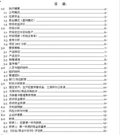 眼镜创新创业计划书