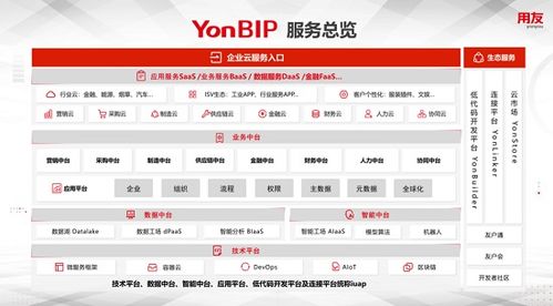 用友公司创新创业软件