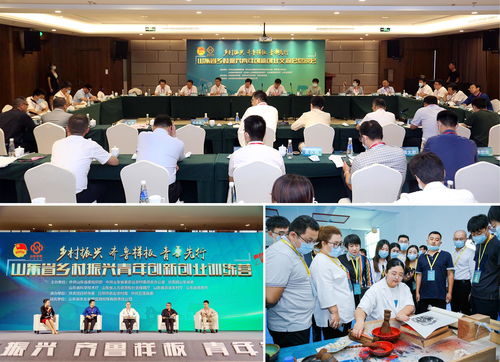 创新创业报告会新闻稿,创新创业报告会心得体会,创新创业报告会心得