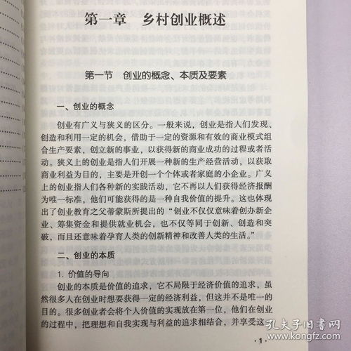 香囊,计划书,创新,创业